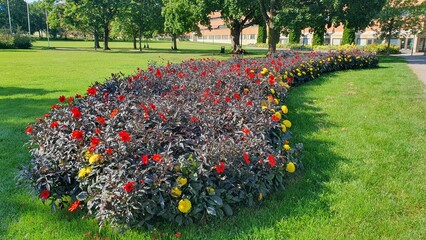 Fototapete bei efototapeten.de bestellen   
