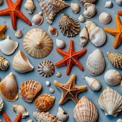 sea shells background
