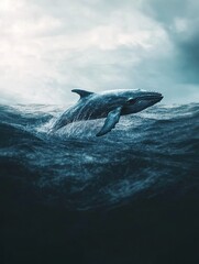 Fototapeta premium whale isolated on cute background