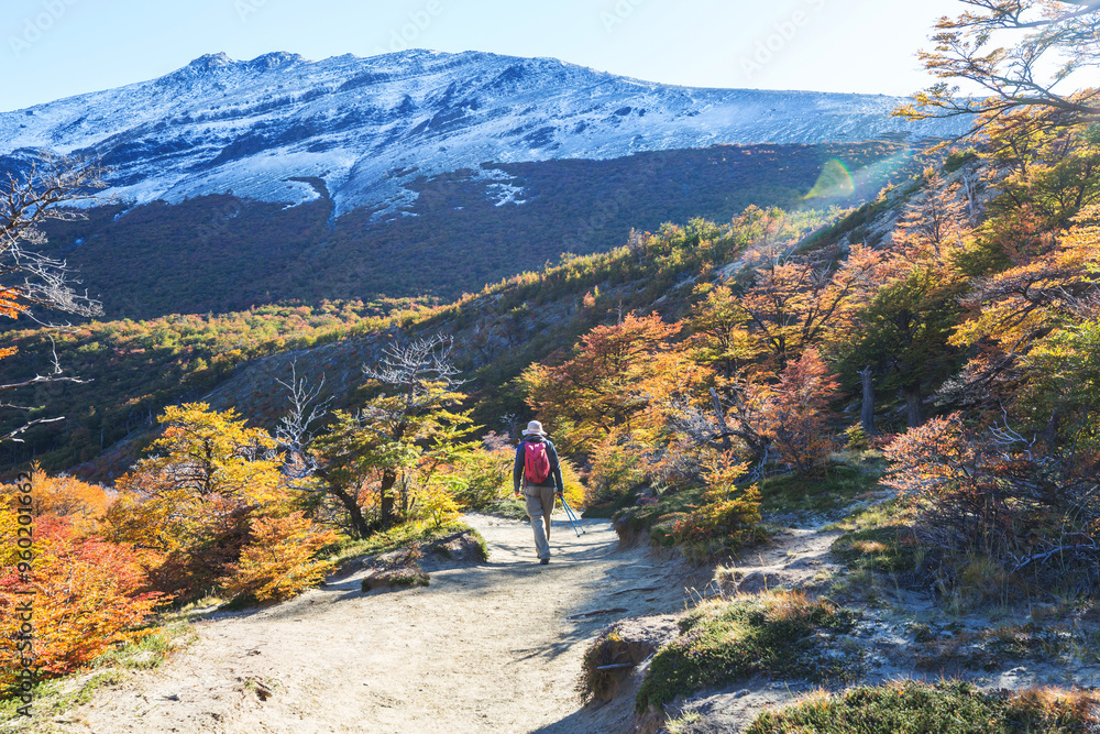 Canvas Prints hike in patagonia