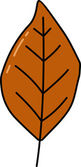  Autumn Leaf Illustration