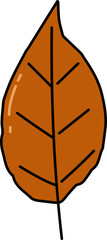  Autumn Leaf Illustration