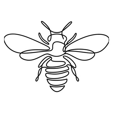 recommend clip art: line drawing bee, bee keeper