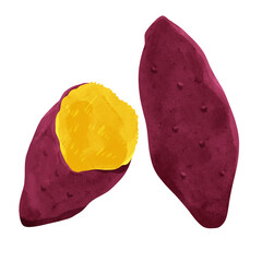 焼き芋　水彩風手描きイラスト