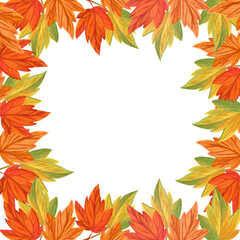 Autumn illustrated frame with transparent background. Autumn Leaves 