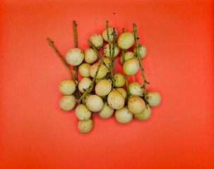 Close-up of Hand holding burmese grape or rambai. Burmese grape isolated..