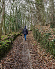 A senior out taking exercise wrapped up against a chilly autumn day, tackles a steep cobbled woodland path in his bid to keep fit