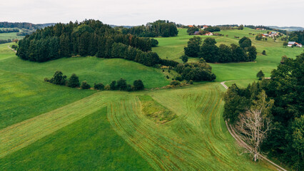 Fototapeta premium Aerial photograph of rural Bavarian landscape with farms, villages, and lush green pastures in Allgäu, Southern Germany