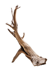 piece of driftwood isolated on transparent background