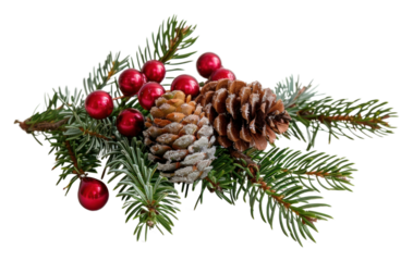 PNG Christmas decoration christmas decorations pineapple festival.