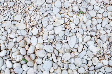 stone light beach close-up of round cobblestones big and small