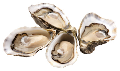 Naklejka premium PNG Oysters seafood clam white background.