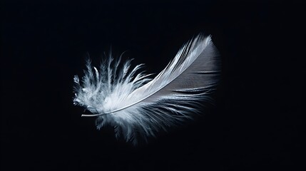 Obraz premium Elegant Silver Feather Floating on Black Background for Fashion and Beauty Concepts
