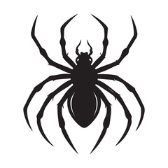 Black spider silhouette, close-up spider, scary big spider isolated on white background 