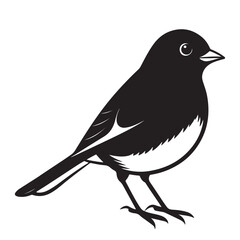 Junco Bird Silhouette 