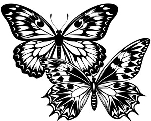 vector illustration of a butterfly silhouette set