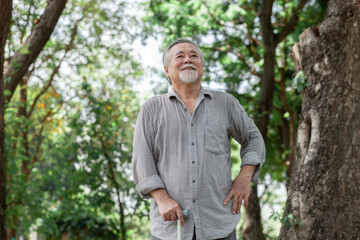 A man in a plaid shirt is walking in a park with a cane. He is smiling and he is enjoying his time outdoors