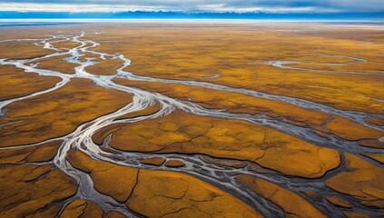 Aerial view of a flat tundra landscape and braided rivers in north slope area of alaska, usa- north slope, alaska, united states of america
