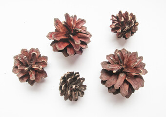 Natural pinecones isolated on white background as winter natural element detail for holiday season, Christmas New year design
