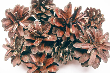 Natural pinecones isolated on white background as winter natural element detail for holiday season, Christmas New year design