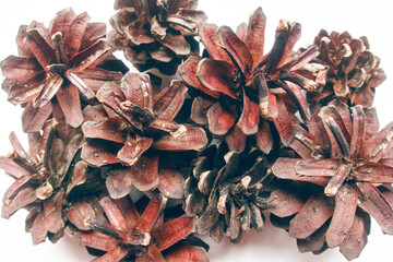 Red brown pinecones close up as winter minimalistic natural Christmas texture backdrop background