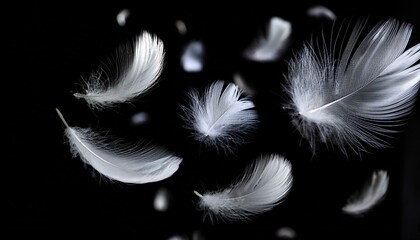 Obraz premium White Feathers isolated against a black background. Floating feathers. Falling bird feathers. Bokeh. Motion blur. Bird, angel or demon feathers. Fantasy glowing feathers floating down. See Less 