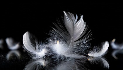 Obraz premium White Feathers isolated against a black background. Floating feathers. Falling bird feathers. Bokeh. Motion blur. Bird, angel or demon feathers. Fantasy glowing feathers floating down. See Less 