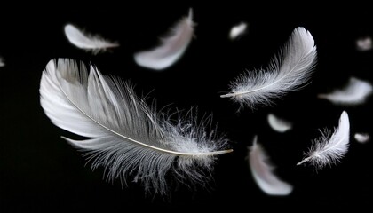 Obraz premium White Feathers isolated against a black background. Floating feathers. Falling bird feathers. Bokeh. Motion blur. Bird, angel or demon feathers. Fantasy glowing feathers floating down. See Less 