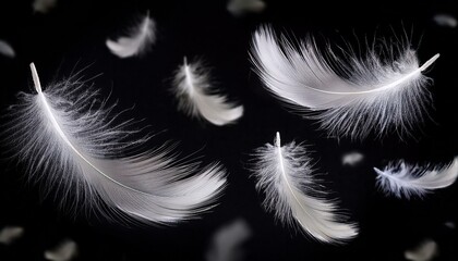 Obraz premium White Feathers isolated against a black background. Floating feathers. Falling bird feathers. Bokeh. Motion blur. Bird, angel or demon feathers. Fantasy glowing feathers floating down. See Less 