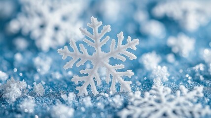 detailed snowflakes in close-up on a lovely blue background,