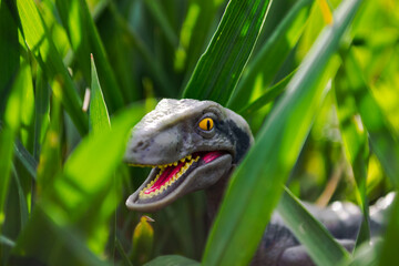Velociraptor dinosaur toy in the middle of lush green grass