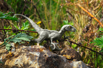 Velociraptor dinosaur toy stands on a rock on the side
