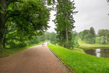 Two people walk leisurely along a tranquil pathway bordered by tall trees and a peaceful pond, enveloped in a gentle morning fog.
