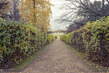 Fototapeta premium A path through a garden with a house in the background