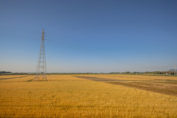 Oita Field Farm, Cultivating Yufuin Sustainable Agriculture May 16 2024