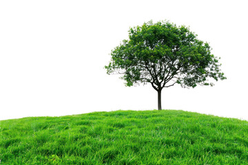 Fototapeta premium PNG Lone tree on grassy hill