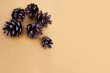 warm background with christmas decoration with cones