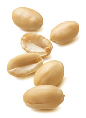 Big peeled peanut group isolated on white background. Vertical layout