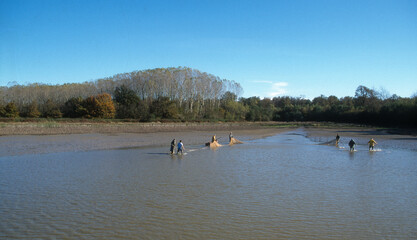 Pêcheurs , étang de la Dombes, Dombes; 01, Ain, France