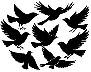 Fototapeta premium Set of black bird silhouettes. Vector elements for design. 