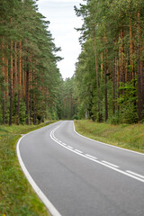 An asphalt road going through a forest in Masuria