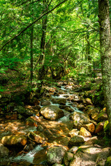 Waterfalls in the mountains