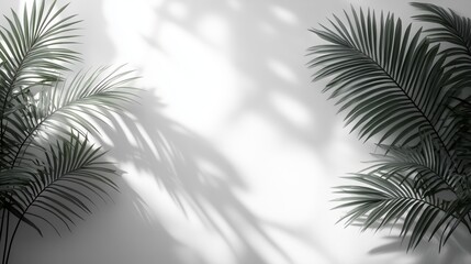 Obraz premium Light gray palm leaves on white background with space for text.