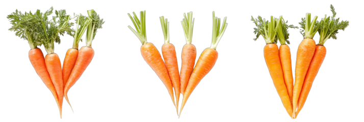 Collection of vibrant carrots isolate on transparency background