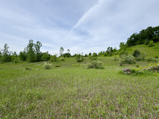 Fototapeta premium field with sky
