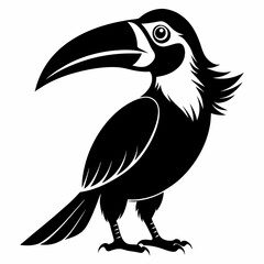Hornbill Black silhouette