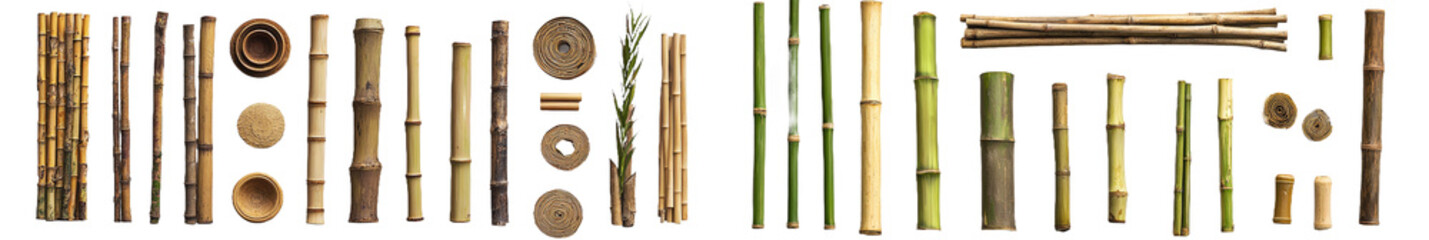 Fototapeta premium Assorted Bamboo Stalks and Slices Collection