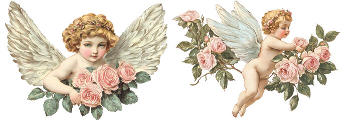 Fototapeta premium An angel plant with cherub illustration ephemera