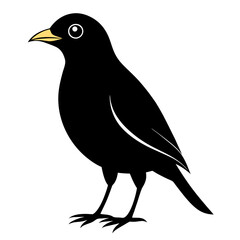 Myna Black silhouette
