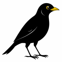 Myna Black silhouette